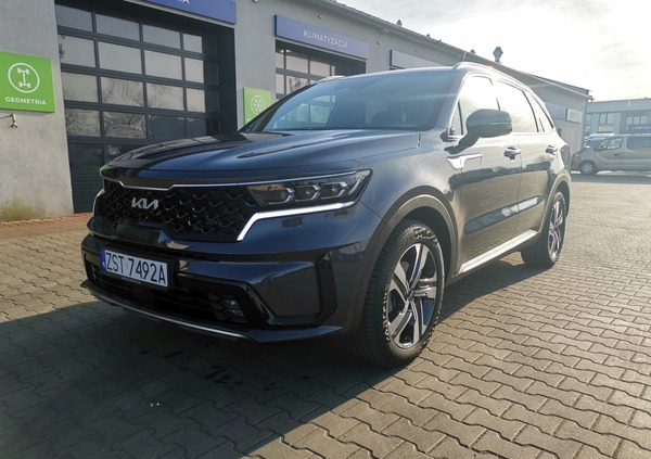 Kia Sorento cena 220000 przebieg: 6000, rok produkcji 2023 z Krasnobród małe 56